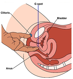 The location of the g-spot in order to chieve female ejaculation